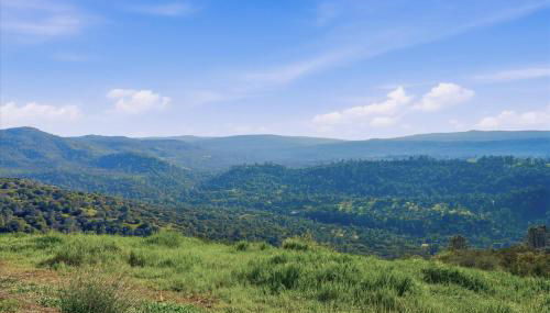 Incredible View Near Yosemite, Spacious 4BR House! - Foto 5