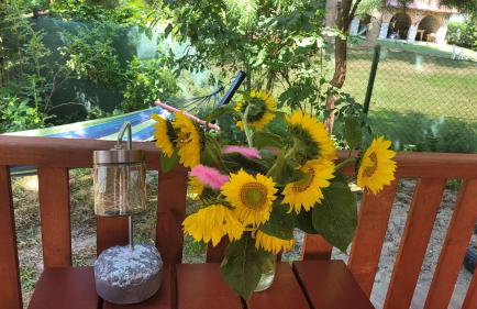 Domki RADAWA na Kliszówce - Foto 59