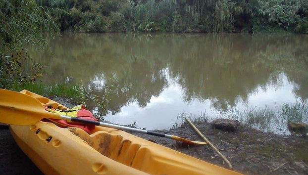 Tour en kayak por el río Guadiaro - Foto 5