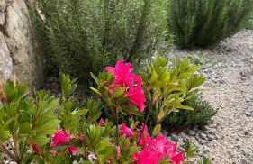 Casa de Alcaria - Foto 69