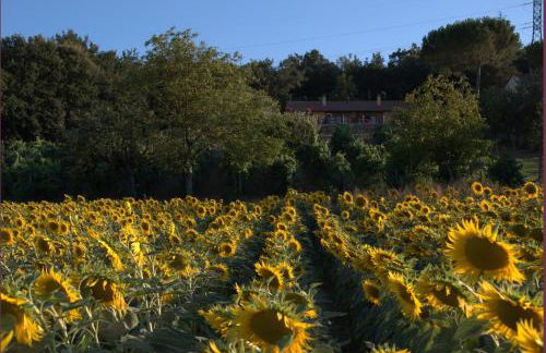 Podere Casalsole - Foto 43