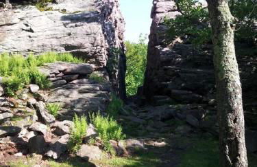 Charming Corner Newly Furnished Townhome - Foto 59