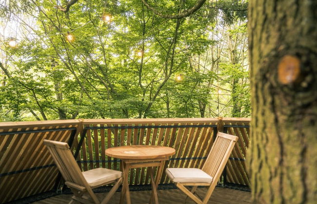 Domaine des Étoiles - Photo 49