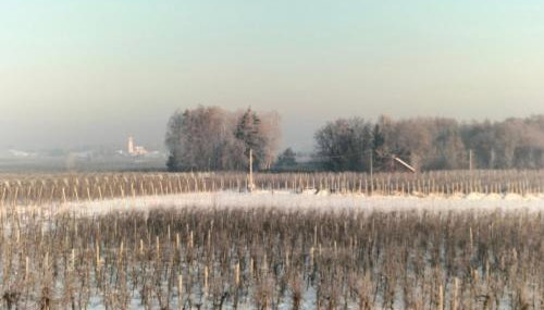 Agroturystyka Zdrowo przez sad - Foto 2