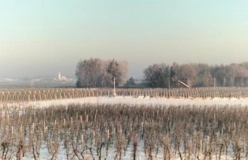 Agroturystyka Zdrowo przez sad - Foto 2