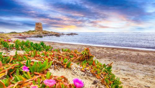 Le Corti Sarde Beach Apartments - Foto 2