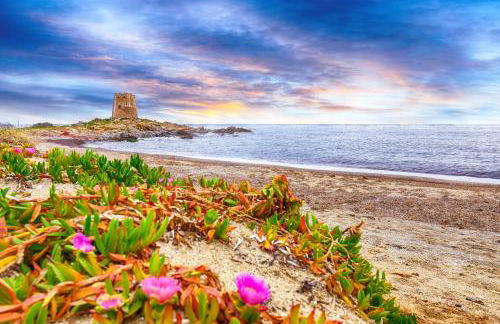 Le Corti Sarde Beach Apartments - Foto 2