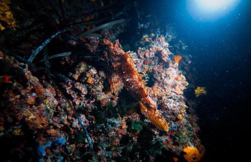 Rivage de Rêve - Hyères Plage - Foto 37