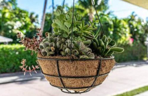 Olive Apart unit 1 by PMI - Foto 27