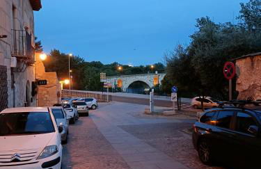 A los Ojos del Río Duero - Foto 57