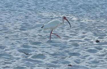 Lovely 2-Bedroom plus Den Condo in Greenlinks Resort - Photo 38