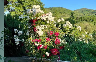 Villa Romeo - the suitable one! - Photo 4