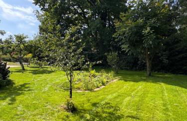 Sunlit Garden - Ruhig am Wald nahe Warnow Rostock - Kamin - Foto 16