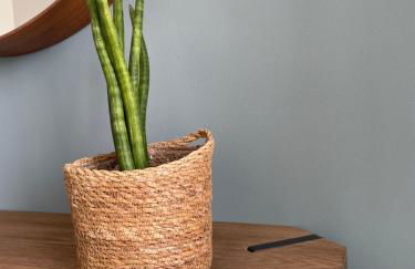 ValentinaPlace - Foto 71