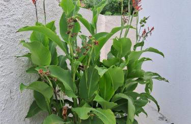Recanto Ganesha seu paraíso na praia, no Recanto de Itaipuaçu ao lado de Itacoatiara - Foto 54