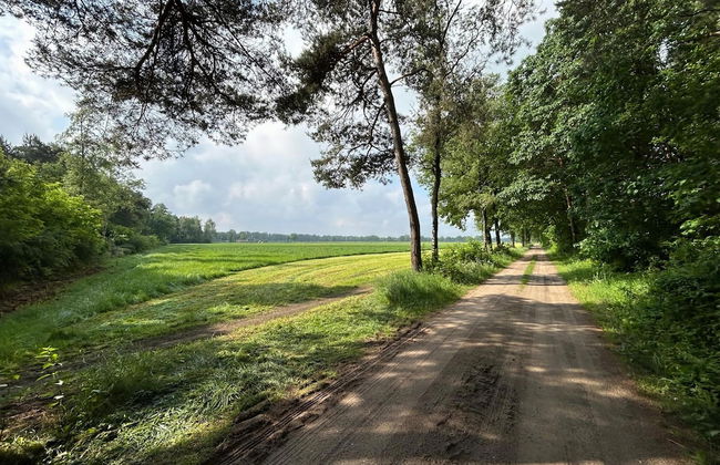 Holiday Home in Zelhem With Garden - Photo 38