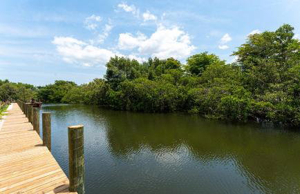 NEW! SaltWater Serenity less than 500ft to AMI, Canal Front! - Foto 50