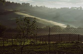 Agriturismo La Terrazza sul Mangia - Foto 80