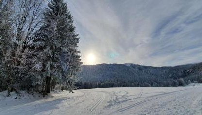 Ferienwohnung Alpenblick - Foto 3