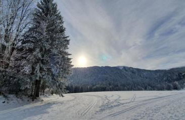 Ferienwohnung Alpenblick - Foto 3