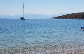 Oasis Studios AG PANTES - Photo 10