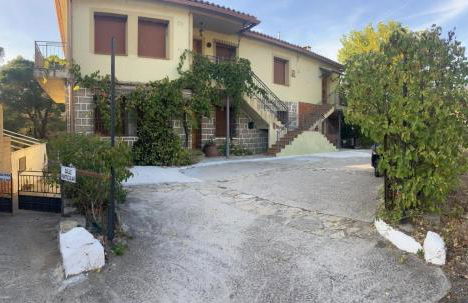 Finca 13 Ramas - Photo 4