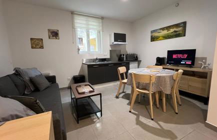 Appartement T2 40 M2 cosy RDC plein centre ville - Foto 12