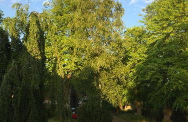 Herrenhaus Hohewarte - Foto 21