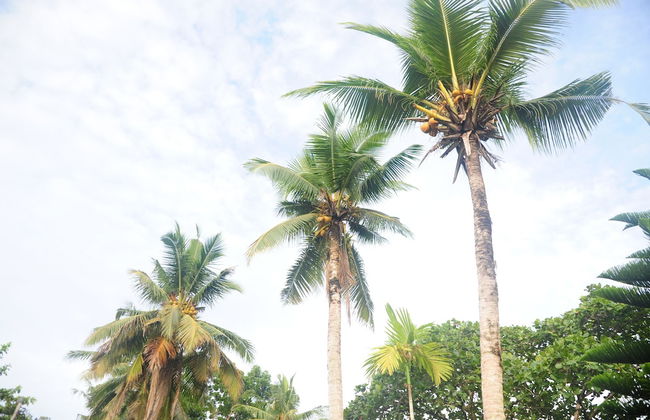 shell villa apartel resort - Foto 35