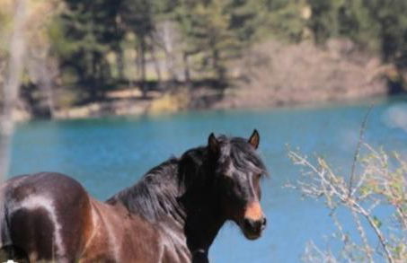 La casa di Amelia - Foto 1