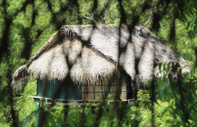 Beddegama Eco - Photo 20