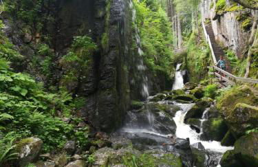 Ferienwohnung Hasenfratz - Foto 20