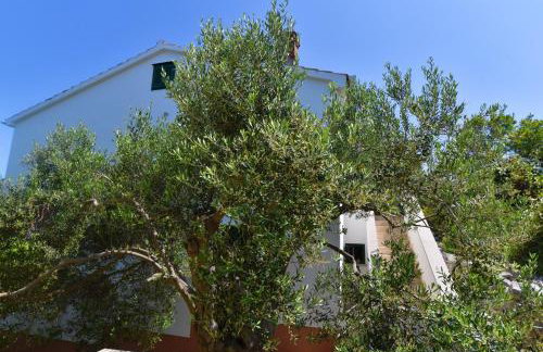 Apartmani Badurina - Maslina - Photo 13