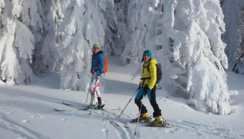 Wildnisresidenz am Nationalpark - Foto 5