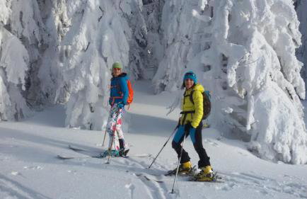 Wildnisresidenz am Nationalpark - Foto 5