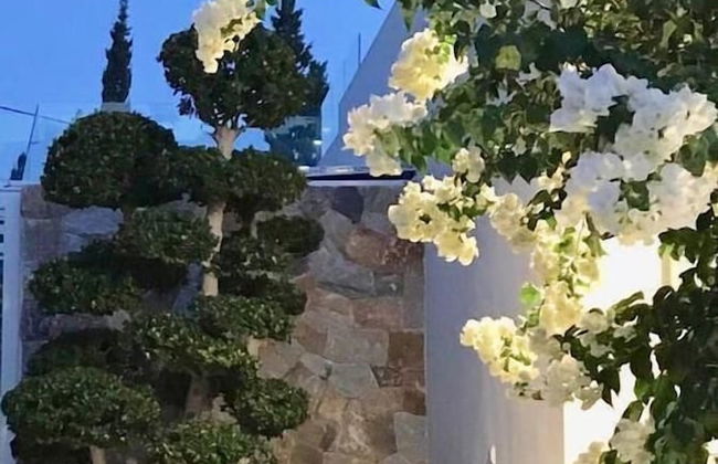 Villa Carlota - Foto 46