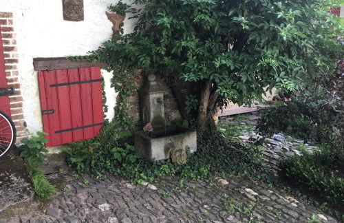 Alter Winzerhof - Foto 19