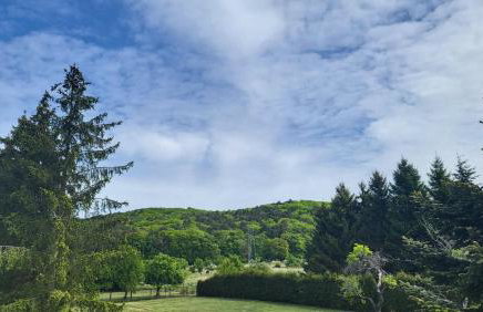 Malownicza Dolina - Foto 7