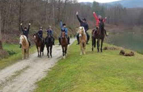 Old house by the stream - Photo 62