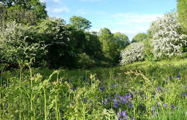 Roundhouse Yurt, Stunning Views, Totnes Dartmouth - Foto 28