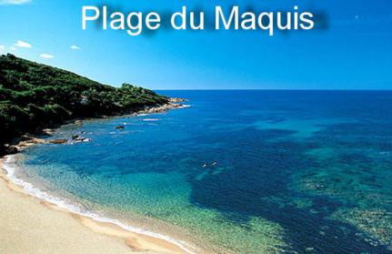 Vue mer panoramique plage 50m Porticcio Corse - Foto 28