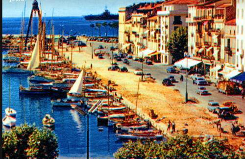 les néfliers - Foto 23