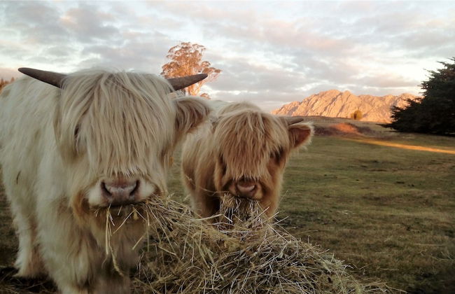 AAA Granary Accommodation - Foto 51