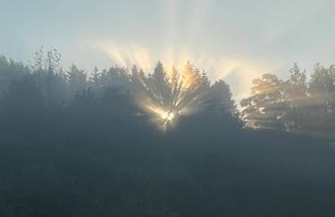 Domki nad Stawem Uherce - Foto 46