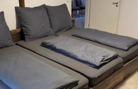 Ferienwohnung Monteurzimmer auf historischem Vierkanthof M - Foto 1