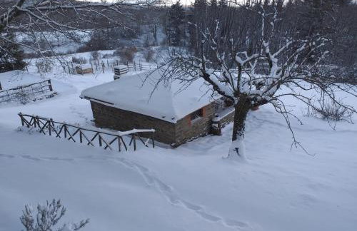 Agriturismo La Casina della Burraia - Foto 27