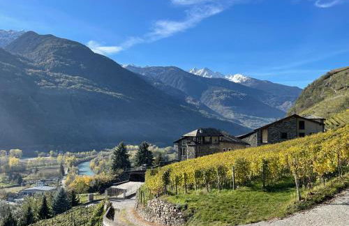 VILLA DEL LUPO: Crown of The Valtellina - Foto 41