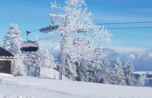 Ferienappartements mit Herz - Foto 41