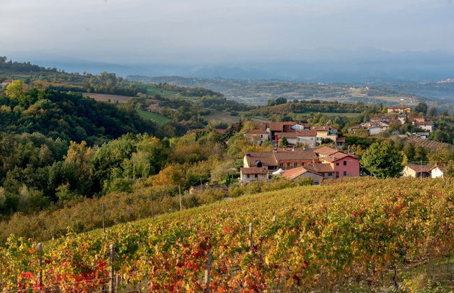 San martino langhe - Foto 45