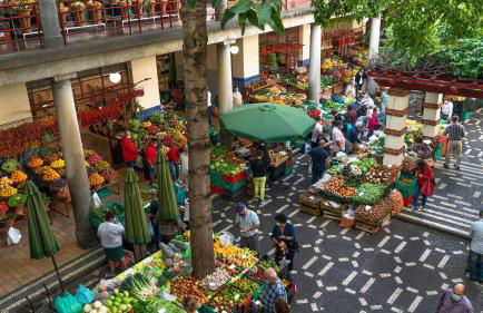 Oásis Suites - Funchal - Foto 35